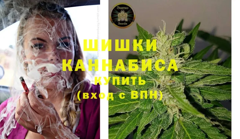 Каннабис Bruce Banner  закладка  Сертолово 